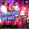 Rayacha Hay June Ghara (DJ Remix)